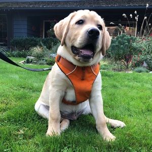 Meet your Posher, Jill